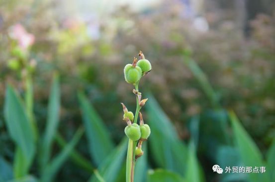 跨境電商：亞馬遜[殺蟲(chóng)劑]風(fēng)波再起-但被封店還不只這個(gè)